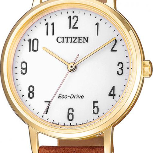 Citizen EcoDrive EM057817A 2