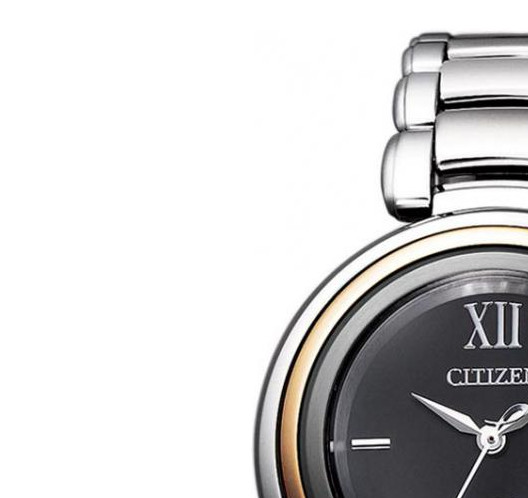 Citizen EcoDrive EM065887E 4