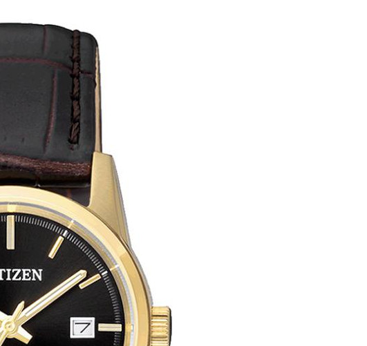 Citizen Elegance EU600201E 5