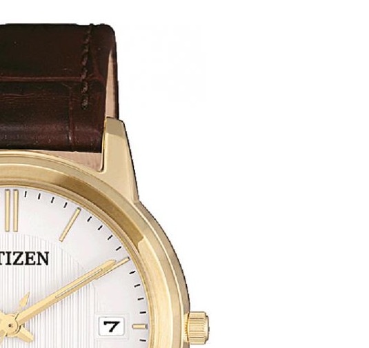 Citizen Elegance FE601211A 5