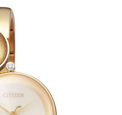 Citizen L EW549555P 5