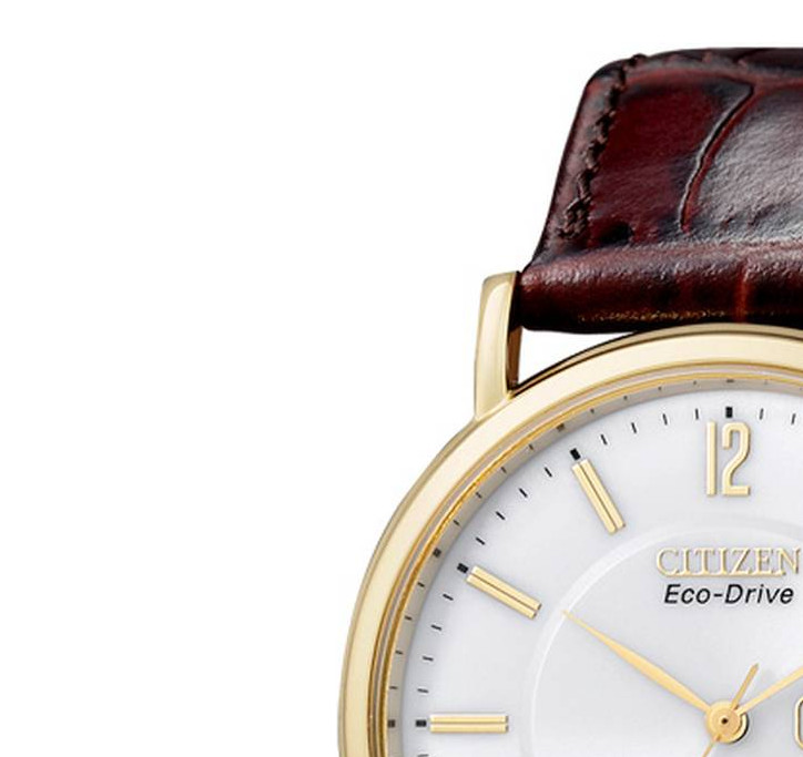 Citizen LEATHER BM824305AE 4