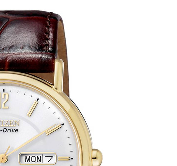 Citizen LEATHER BM824305AE 5