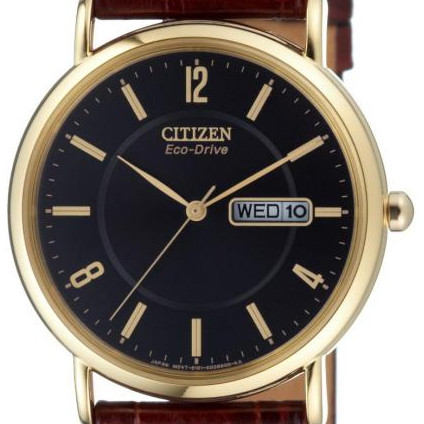 Citizen LEATHER BM824305EE 2