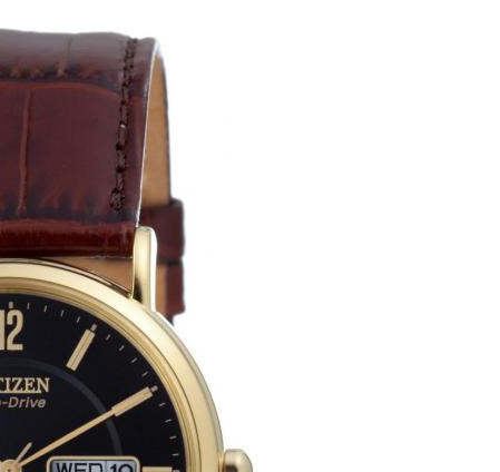 Citizen LEATHER BM824305EE 5