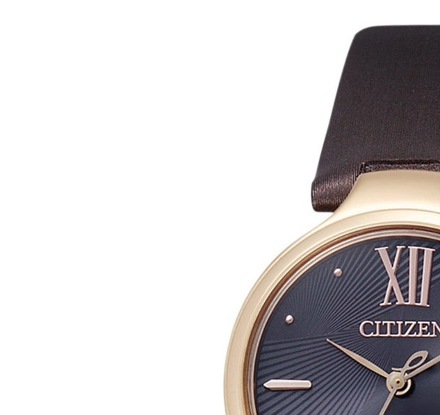 Citizen LEATHER EM004217E 4