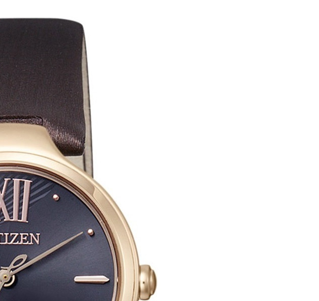 Citizen LEATHER EM004217E 5