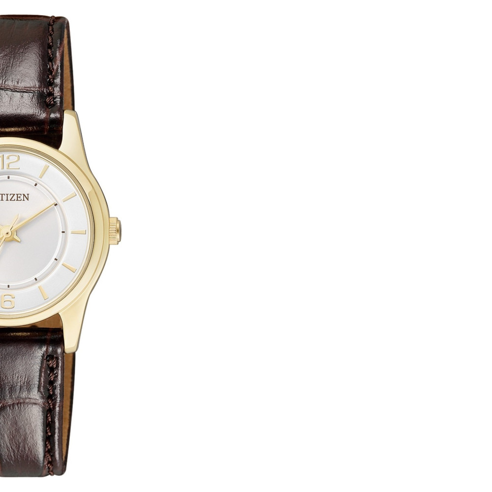 Citizen LEATHER ER018208A 6