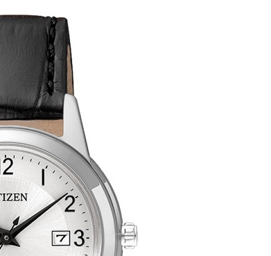 Citizen LEATHER FE108108A 5