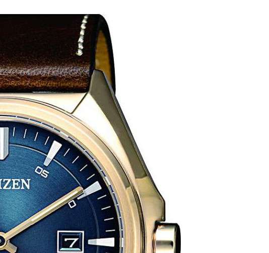 Citizen Leather AW157311L 5
