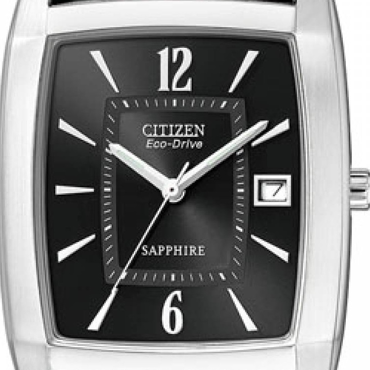 Citizen Leather BM651109E 2