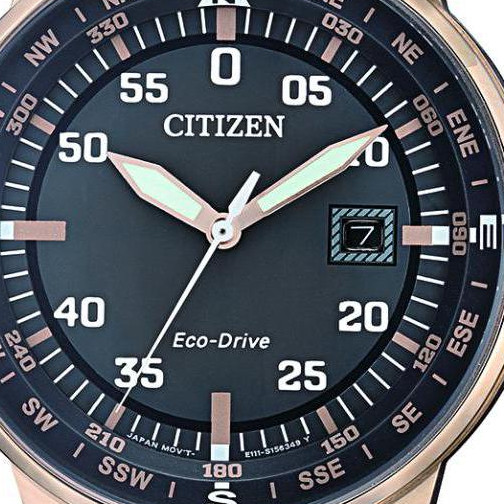 Citizen Leather BM739316H 2