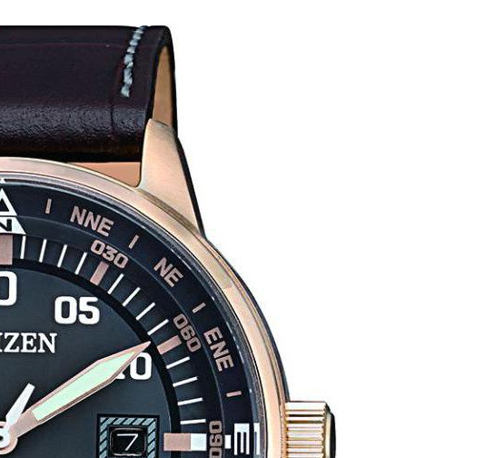 Citizen Leather BM739316H 5