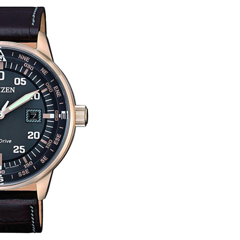 Citizen Leather BM739316H 6