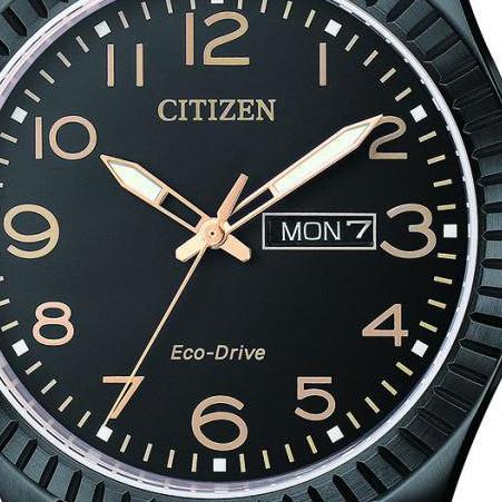 Citizen Leather BM853810EE 2
