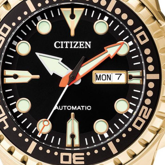 Citizen Męskie NH838317EE 2