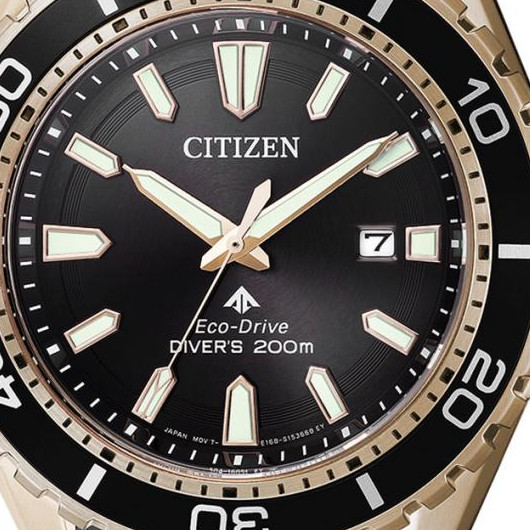 Citizen PROMASTER BN019317E 2