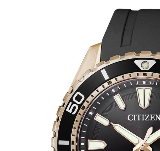 Citizen PROMASTER BN019317E 4