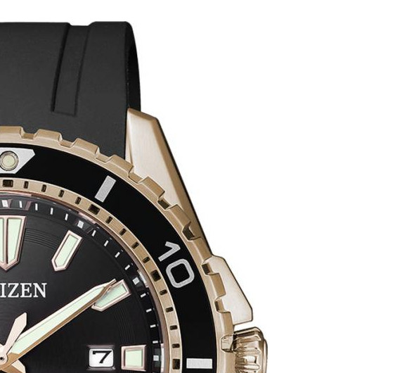 Citizen PROMASTER BN019317E 5