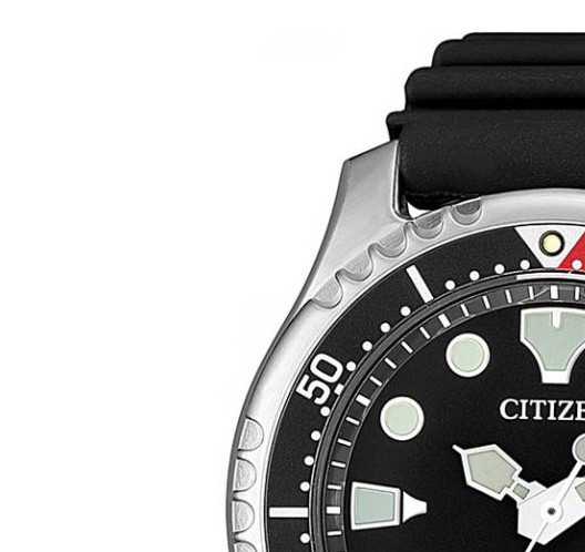 Citizen PROMASTER NY008713EE 4