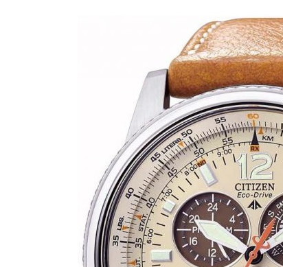 Citizen PROMASTER SKY AS402044B 4