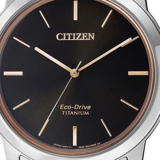 Citizen TITANIUM AW202481E 2