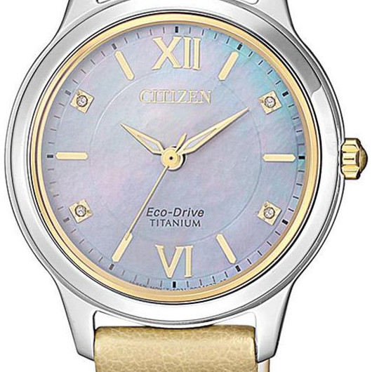 Citizen Titanium EM072417Y 2