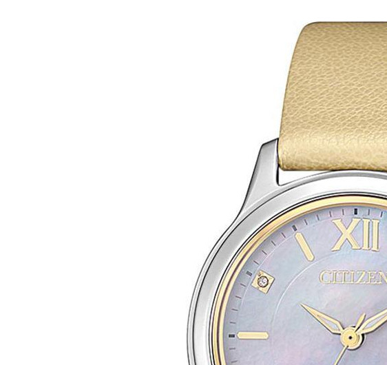 Citizen Titanium EM072417Y 4