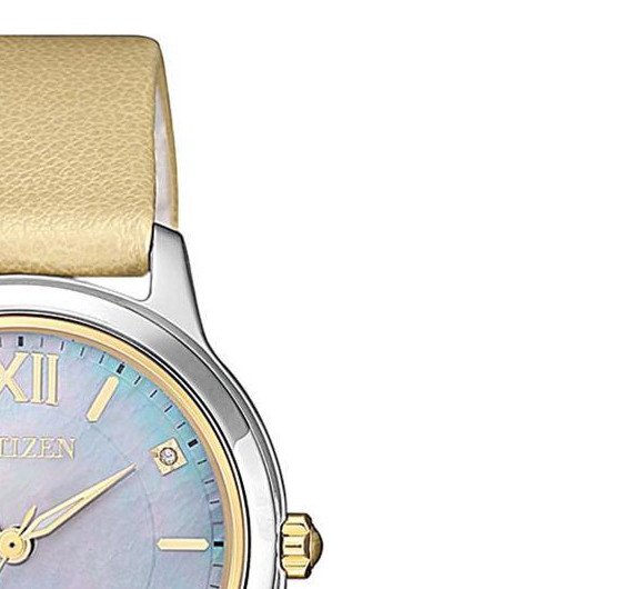 Citizen Titanium EM072417Y 5