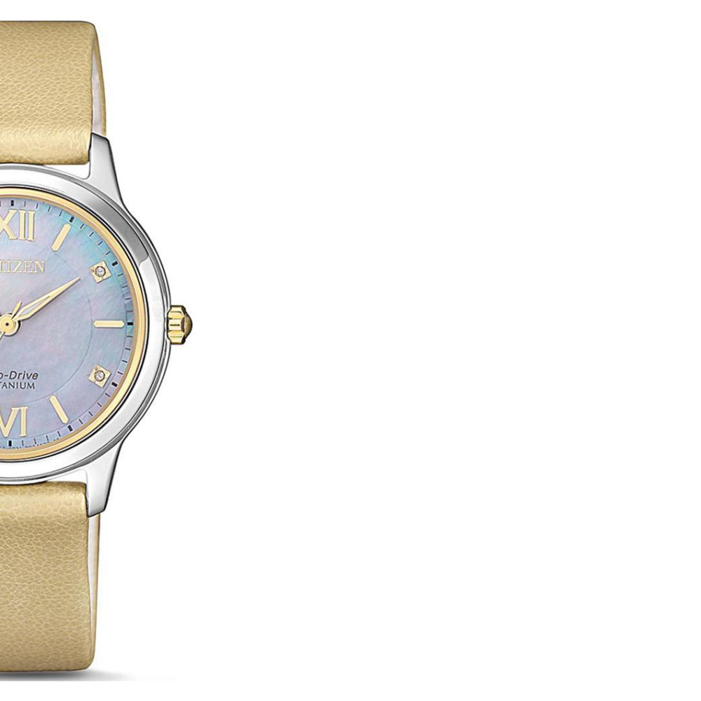 Citizen Titanium EM072417Y 6