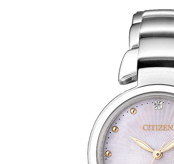 Citizen Titanium EW250681Y 4