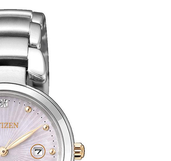 Citizen Titanium EW250681Y 5