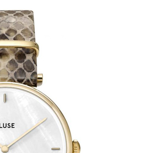 Cluse Triomphe CW0101208008 5