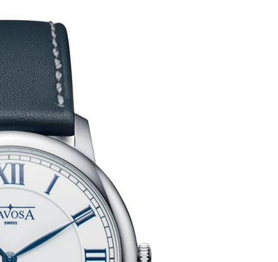 Davosa Amaranto 16248022 5