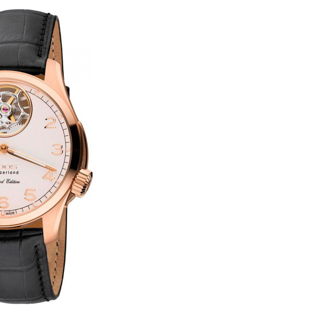 Epos Passion 3434183243825 6