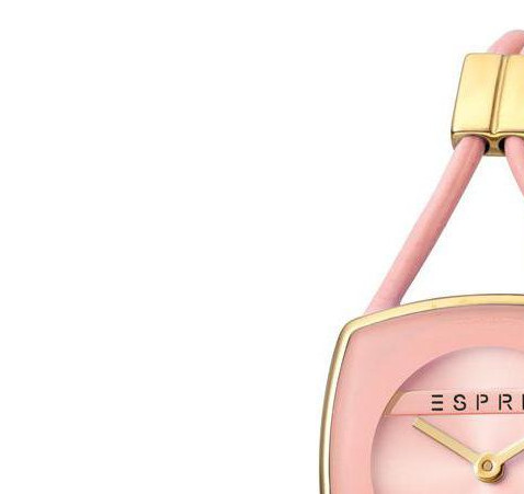 Esprit Ladies Watches ES1L016L0025 4