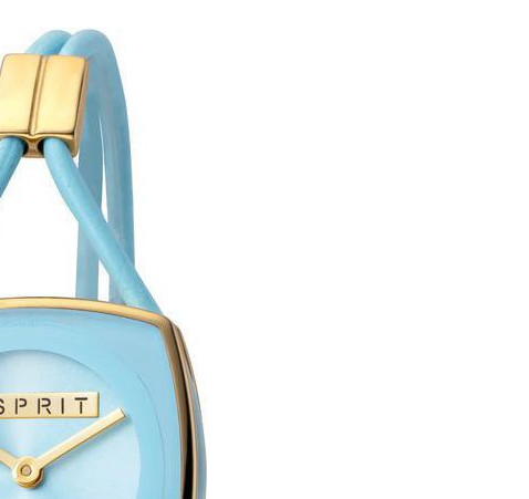 Esprit Ladies Watches ES1L016L0035 5