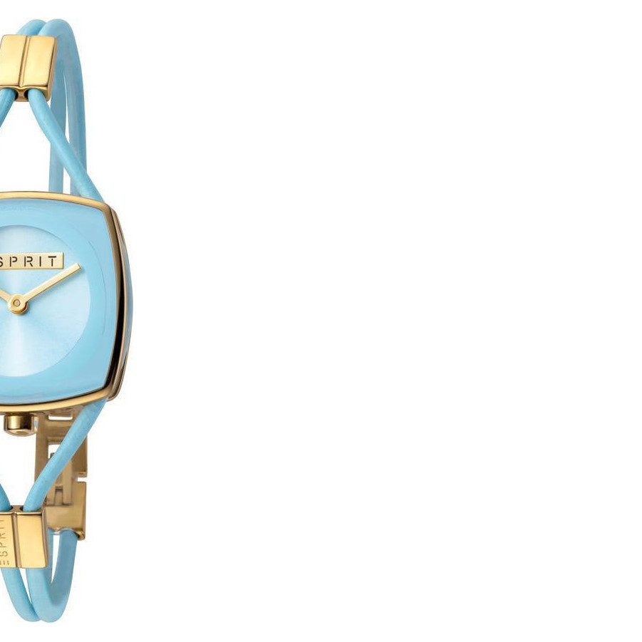 Esprit Ladies Watches ES1L016L0035 6