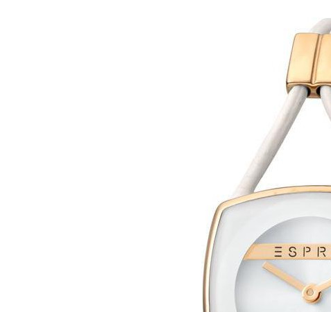 Esprit Ladies Watches ES1L016L0045 4