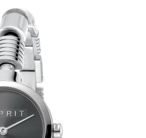 Esprit Ladies Watches ES1L017M0025 5