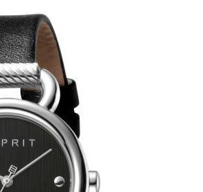 Esprit Ladies Watches ES1L023L0075 5