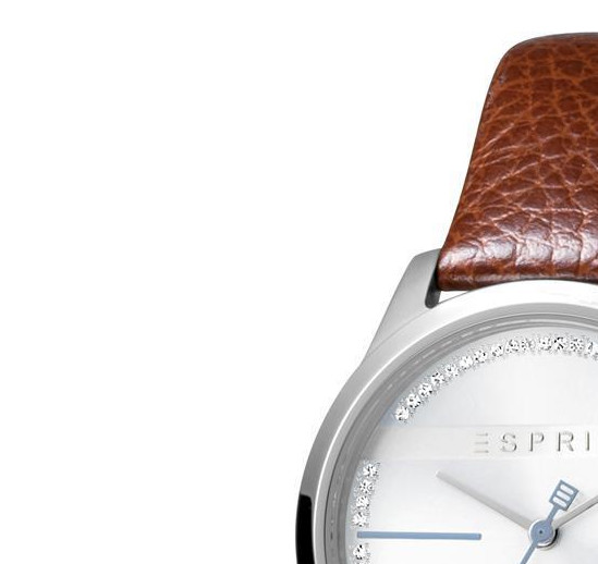 Esprit Ladies Watches ES1L028L0015 4