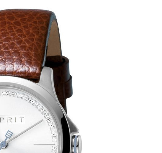 Esprit Ladies Watches ES1L028L0015 5