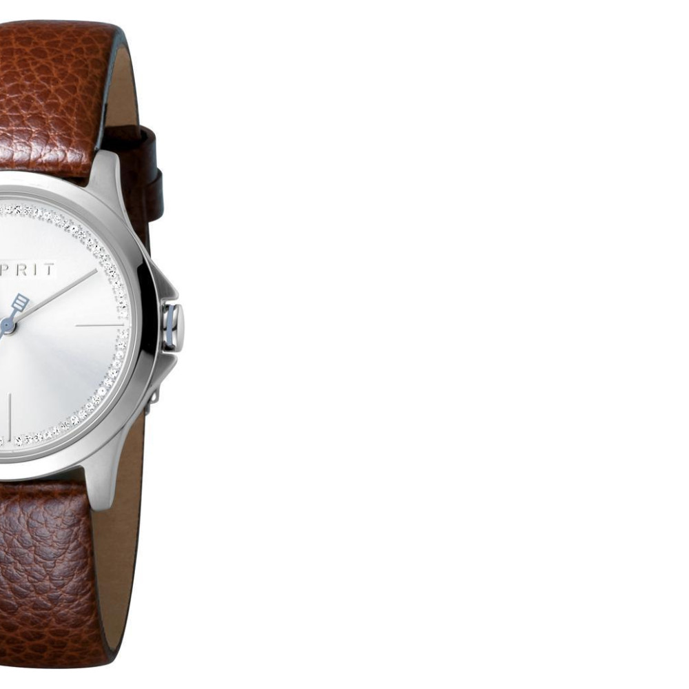 Esprit Ladies Watches ES1L028L0015 6