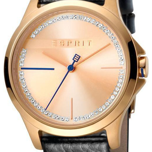 Esprit Ladies Watches ES1L028L0045 2