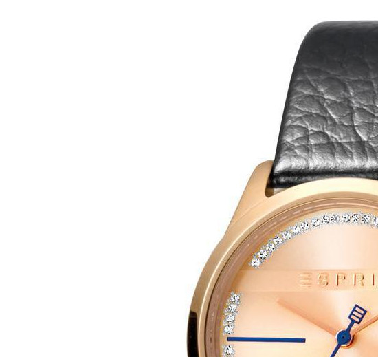 Esprit Ladies Watches ES1L028L0045 4