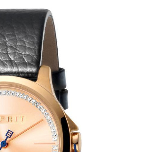 Esprit Ladies Watches ES1L028L0045 5