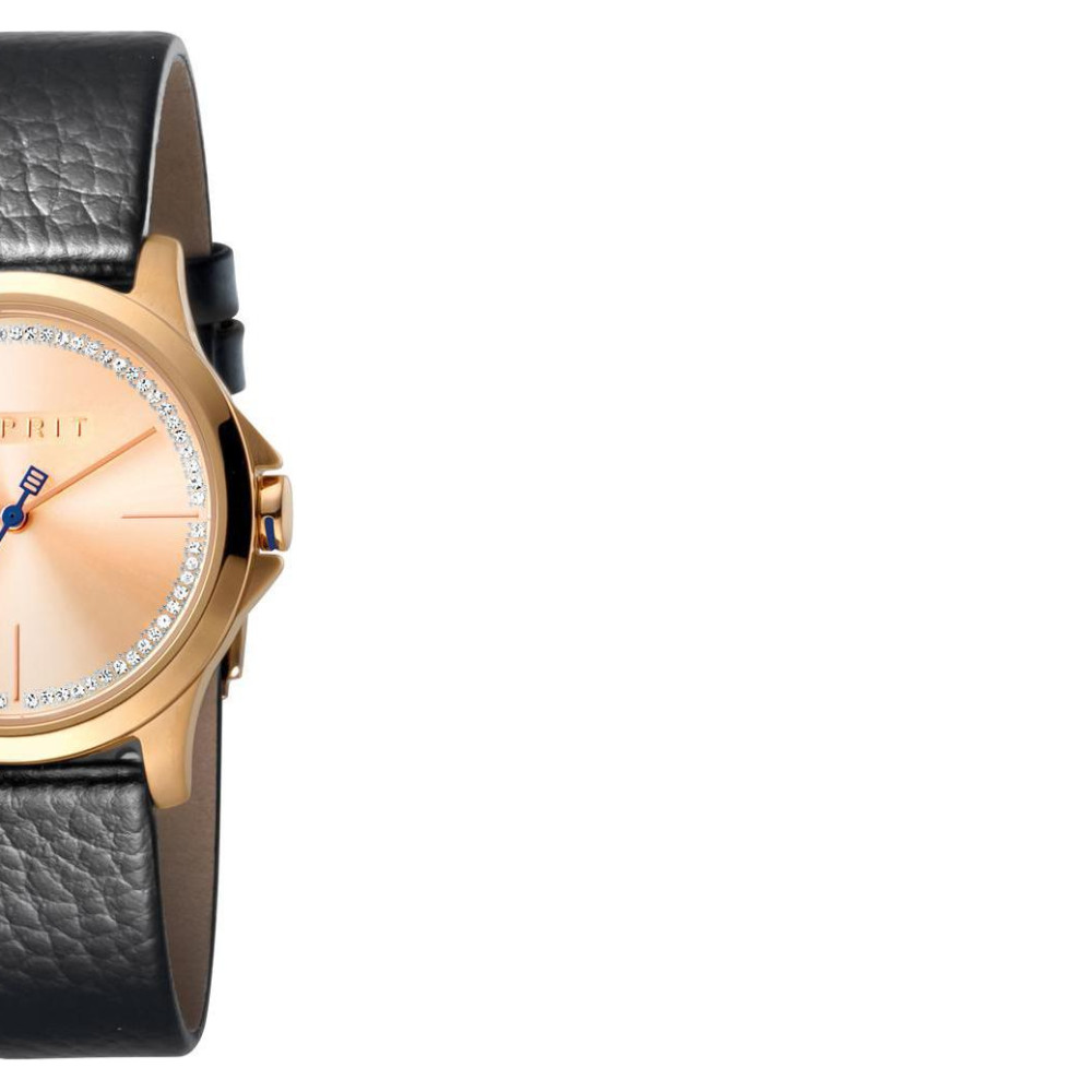 Esprit Ladies Watches ES1L028L0045 6