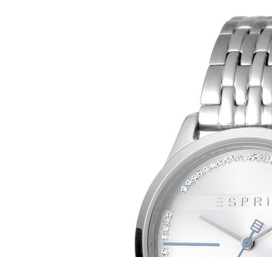 Esprit Ladies Watches ES1L028M0055 4
