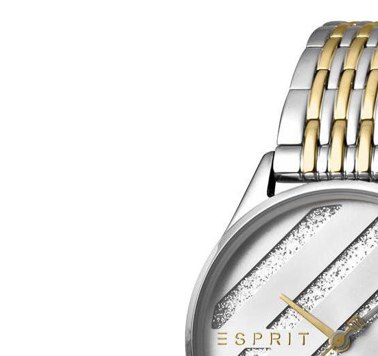 Esprit Ladies Watches ES1L029M0075 4
